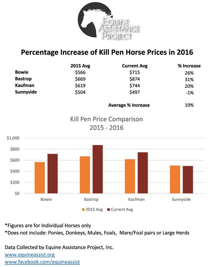 Increase of Kill Pen Horse Prices, graphic courtesy of Equine Assistance Project