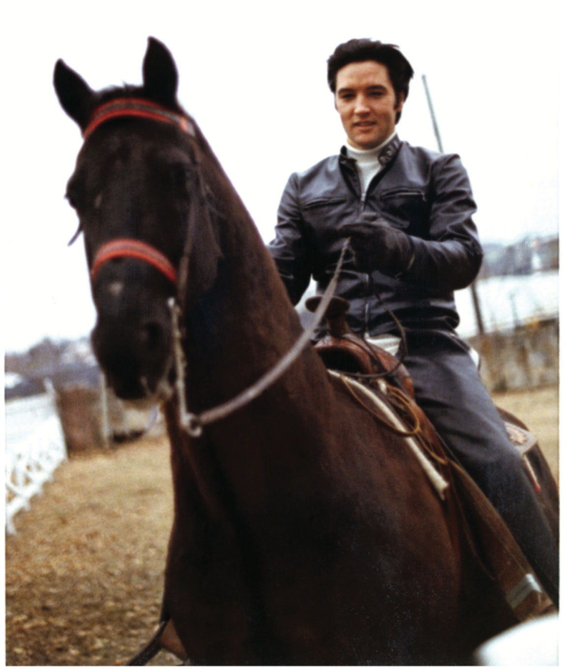 Elvis poses aboard his beloved Tennessee Walking Horse, Bear, in this candid photograph taken on January 1, 1968. © Magma Agency / Wireimage / Getty Images.