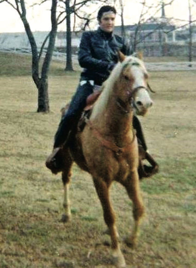 Elvis on his favorite horse, the Palomino Rising Sun. Photo credit:Judy Palmer Bendewald