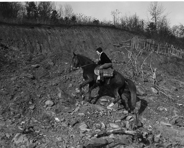 The terrain the librarians rode through was so steep that one woman joked that her horse had shorter legs on one side of his body to deal with the mountain trails.