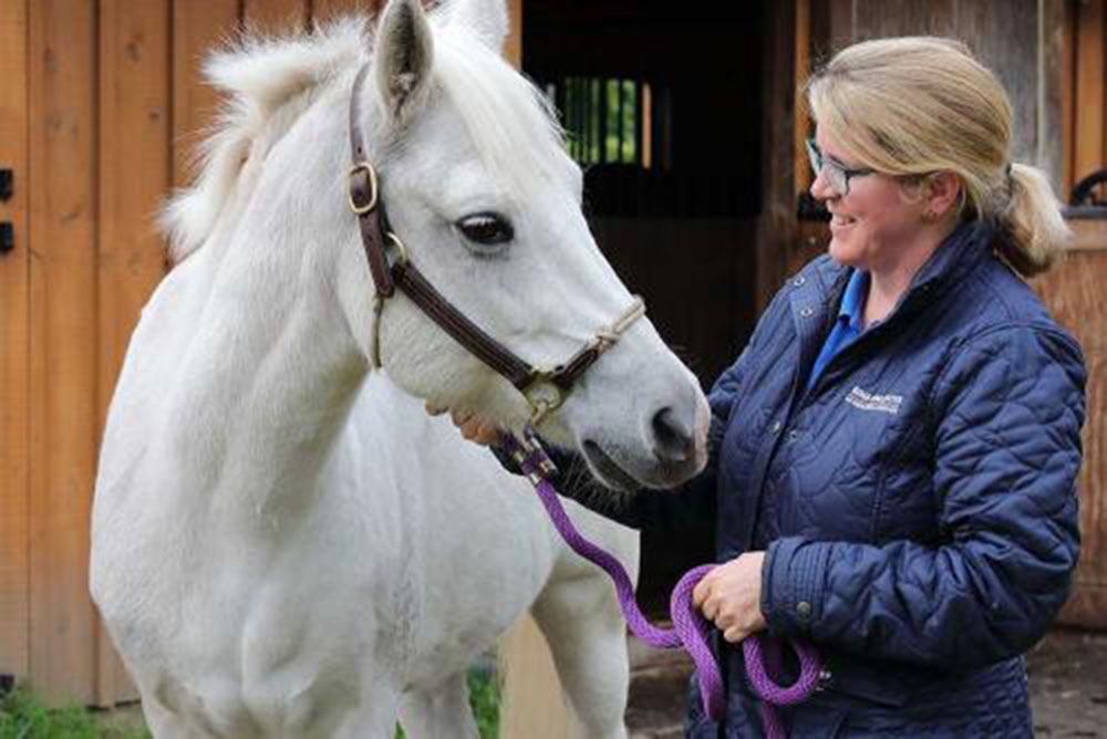 McLean researchers are studying the effects of equine-facilitated psychotherapy on women with trauma histories.