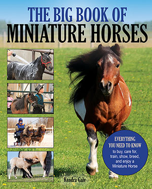 The Big Book of Miniature Horses by Kendra Gale