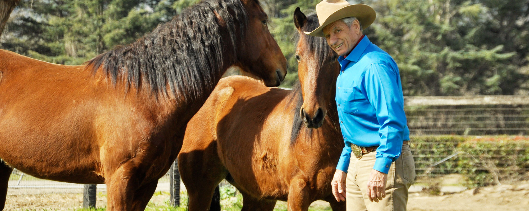 Monty Roberts with Mustangs