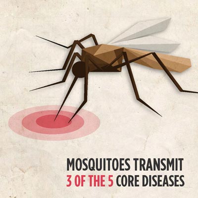 Core Equine Disease Risks Increase Amid Mosquito Season