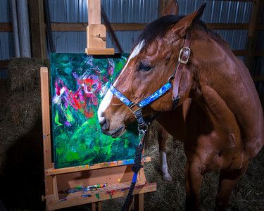The Evening Sun | Metro Meteor works on an abstract painting with owner Ron Krajewski. Metro Meteor, a retired racehorse, learned how to paint when Krajewski, an artist himself, taught him how to hold a paintbrush in his mouth.