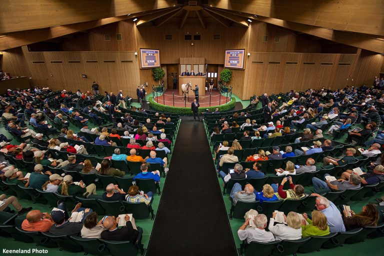 Keeneland September Yearling Sale (Photo courtesy of the Paulick Report)