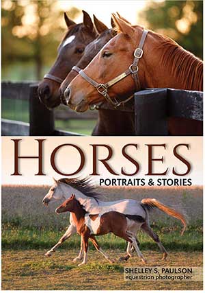 Horses: Portraits & Stories by Shelley Paulson
