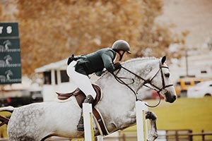 The FEI World Equestrian Games™ Tryon 2018 Are Here