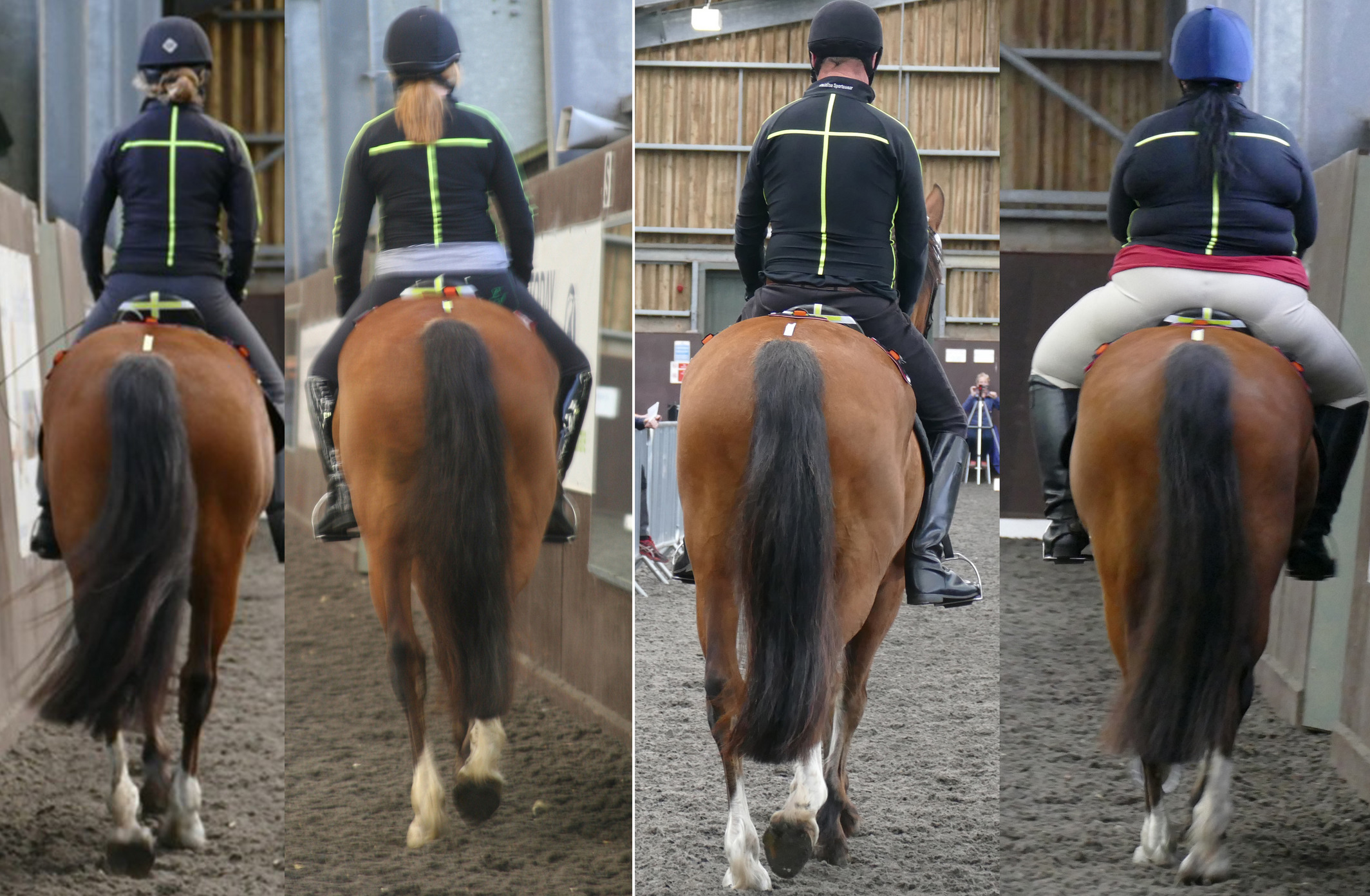 Caudal images of the four riders, from left to right, Light (L), Moderate (M), Heavy (H) and Very Heavy (VH) on Horse 2.