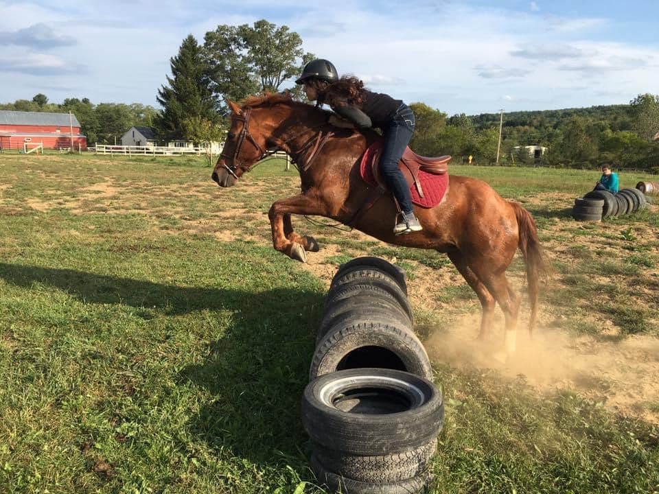 Rocky at a friend's back yard eventing course.