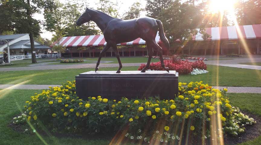 Saratoga Race Course Paddock (photo courtesy of the Equine Info Exchange Editorial team)