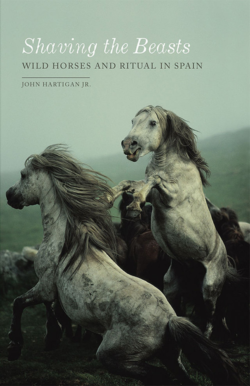 Shaving the Beasts: Wild Horses and Ritual in Spain by John Hartigan