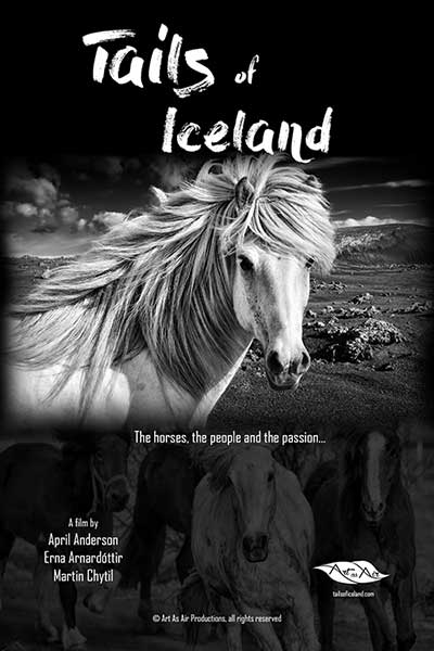 The Tale of Tails of Iceland