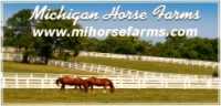Michigan Horse Farms