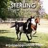 Sterling Equine Appraisals