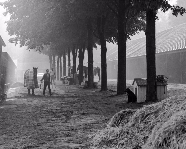 Tony Leonard - Morning Fog August 8, 1963