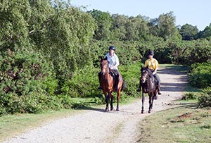 Summertime Fun on the Trails by Bonnie Marlewski-Probert