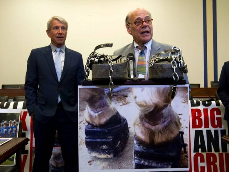 Rep. Steve Cohen, D-Tenn., accompanied by Rep. Kurt Schrader, D-OR, speaks during a news conference, ahead of a House vote on a bill that would prevent Soring in training Tennessee Walking Horses on Capitol Hill in Washington, Wednesday, July 24, 2019 (AP/Photo Jose Luis Magana)