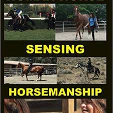 Human Horse Sensing Horsemanship