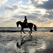 Horseback Riding Vacations in Canada