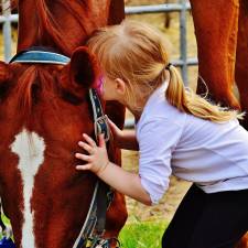 Your Child Wants to Ride a Horse! What Should You Do?
