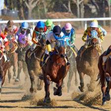Why the Middle East is the Epicenter of Horse Racing