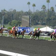 Participating in the Breeders' Cup? Here are The Do's And Don'ts of Thoroughbred Horse Racing Betting