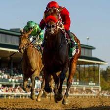 Breeders’ Cup “Win and You’re In” Positions Earned This Past Weekend