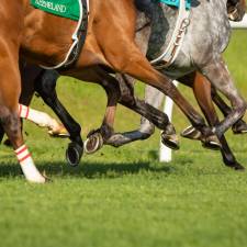 Research Preventing Catastrophic Racehorse Injuries