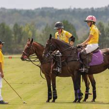 Polo Development 