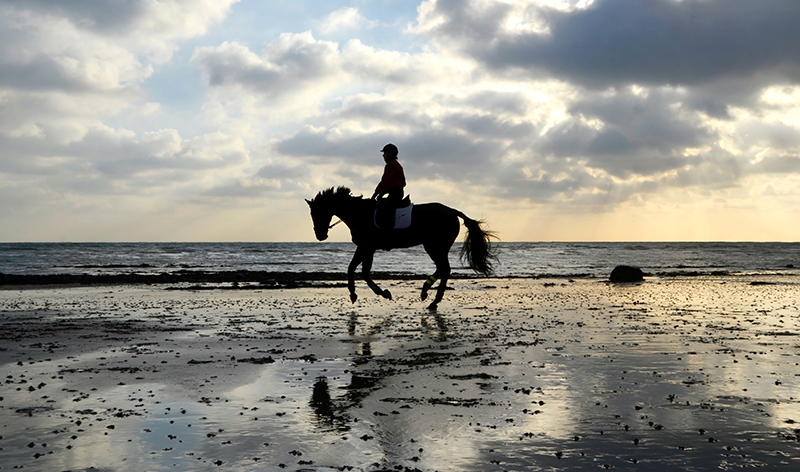 Horseback Riding Vacations in Denmark