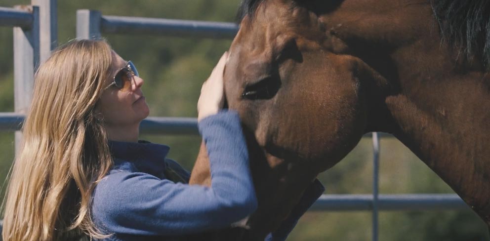 When Horses Heal: SquirrelWood Equine Sanctuary (8:37)
