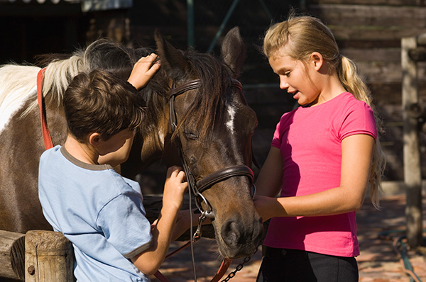 Equine Info Exchange - Youth Outreach